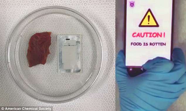 Sensors Let Smartphones Sniff out Bad Meat