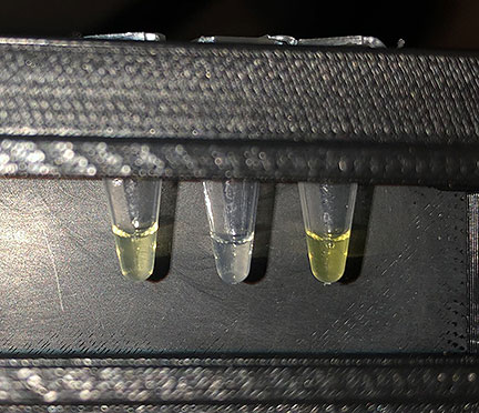 Simple Test Measures Fluoride in Water