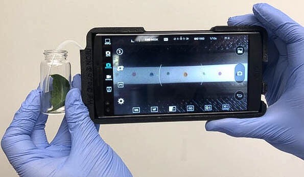 Smartphone Device Detects Plant Diseases