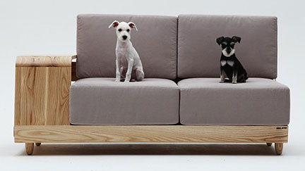 Sofa Makes Space for  Canine Friends
