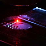 Laser Made of Blood Could Detect Tumors