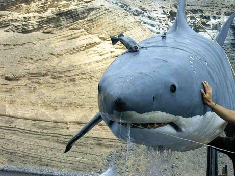 Shark-Shaped Submarine