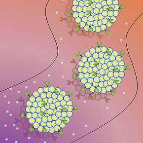 Liposomes Travel to Target Areas