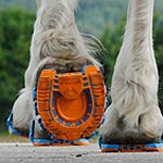 Megasus Horserunners Clip-On Horseshoes