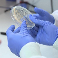 Microbe-Killing Medical Gloves