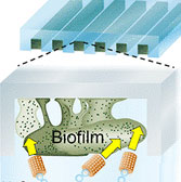 Microbubbles Scrubber Breaks Up Biofilms