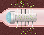 Microneedle Capsule Delivers the Drugs From Inside