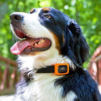 Motorola's Scout Traks Monitors Pets in Real Time
