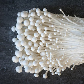 Mushroom-Inspired Material Repels Liquids