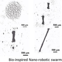 Nano-Swarms Could Offer Targeted Drug Delivery