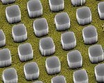 Nanopillars Increase Solar Cell Efficiency