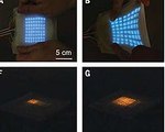 Octo-Skin Could Lead to Disappearing Displays