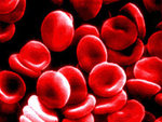 Oxygen-Carrying Protein May Lead to Artificial Blood