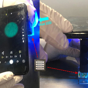 Paper Microfluidic Device Detects Norovirus with a Smartphone