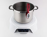 Paragon Affordable Induction Cooking System