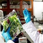 Plant-Based Plastic Wrap Keeps Food Fresher