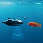 PowerRay Drone Finds the Fish