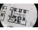 Printing Disposable Circuits
