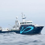 Prototype Trawler Reduces Fish Waste