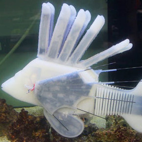 Robo-Fish Powered by Battery Blood