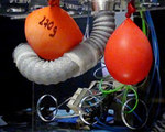 Robotic Tentacle Could Assist in Surgery