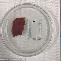 Sensors Let Smartphones Sniff out Bad Meat