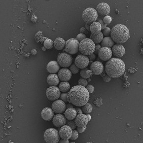 Shape-Shifting Nanoparticles Prevent Superbugs