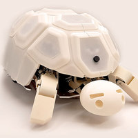 Shelly Turtle Bot Fights Robot Abuse