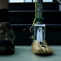 Smart Ankle Adapts to Rough Terrain