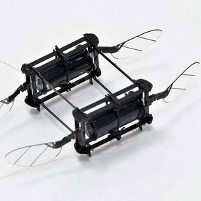 Soft-Muscled RoboBees Survive Collisions