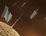 Spermbots Could Deliver Drugs or Fertilize Eggs