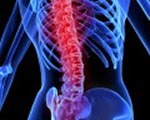 Spinal Cord Injuries Healed in Mice