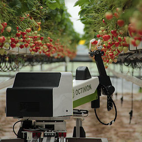 Strawberry-Picking Rubion Robot Has the Soft Touch