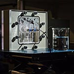 Taking Photosynthesis Out of the Lab