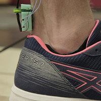 Tapping Wearable Measures Tendon Stress