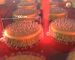 Tiny Chip Screens for Cancer in Whole Blood