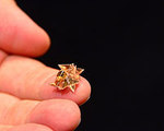 Tiny Drone Self-Assembles and Moves with Magnets