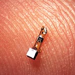 Tiny Neural Dust Sensors Send Feedback from the Body