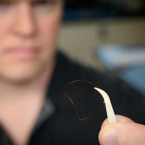 Tiny Sensor Offers Early Virus Detection