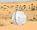 Tumbleweed Robot Rolls Across Deserts in Pursuit of Science