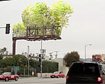 Urban Air Bamboo Billboards