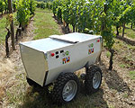 VineRobot Monitors Vineyards Autonomously