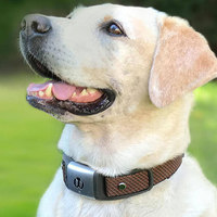 Waggit Smart Collar Improves Your Dog's Health