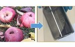 Waste Apples Open Door to Green Batteries