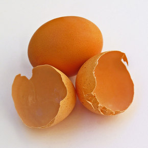 Waste Eggshells Lead to Better Batteries
