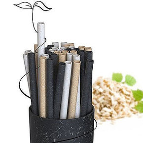Wood-Based Straws Degrade to Prevent Plastic Waste