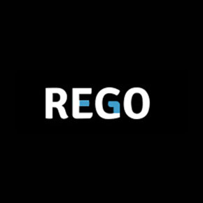 Shenzhen Rego Mould Ltd. logo
