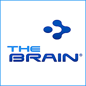 The Brain logo