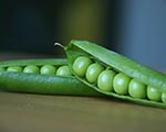 A New Energy Source from Pea Plants